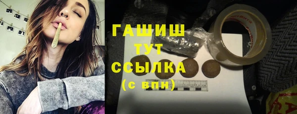 индика Каменка