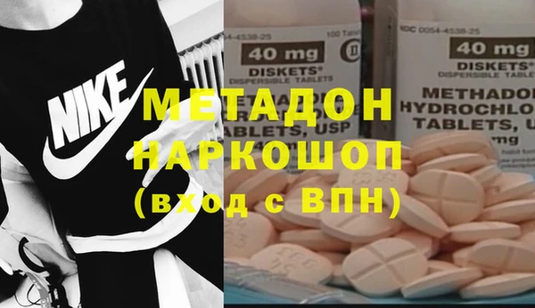 индика Каменка