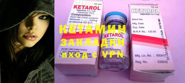 индика Каменка