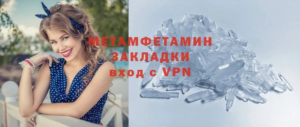 индика Каменка