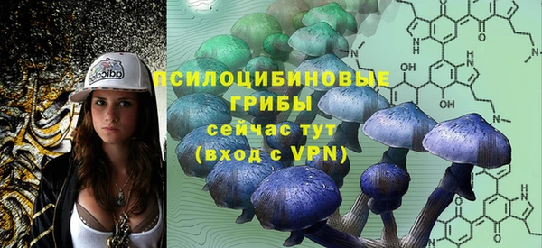 индика Каменка