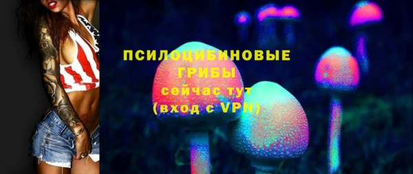 индика Каменка