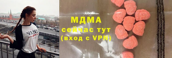индика Каменка