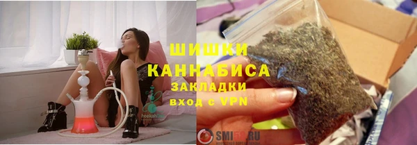 индика Каменка