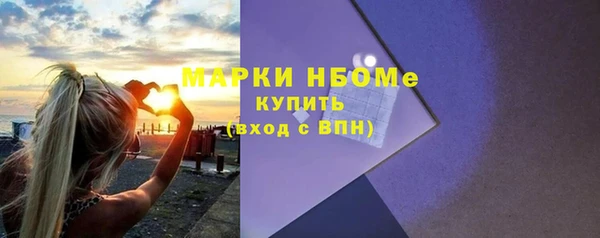 индика Каменка