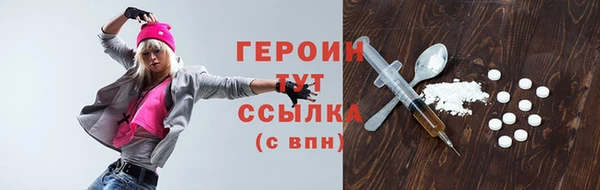 индика Каменка