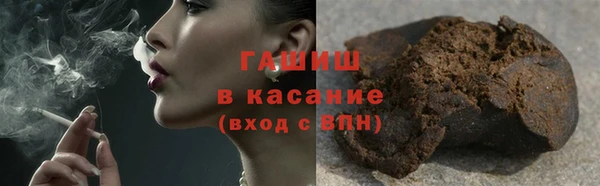 индика Каменка