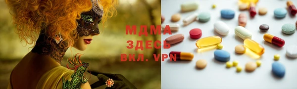 индика Каменка