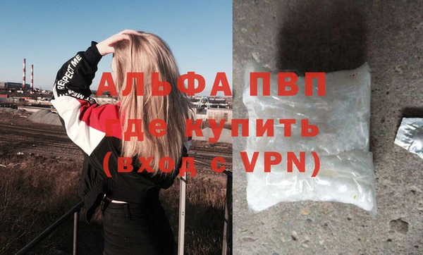 индика Каменка