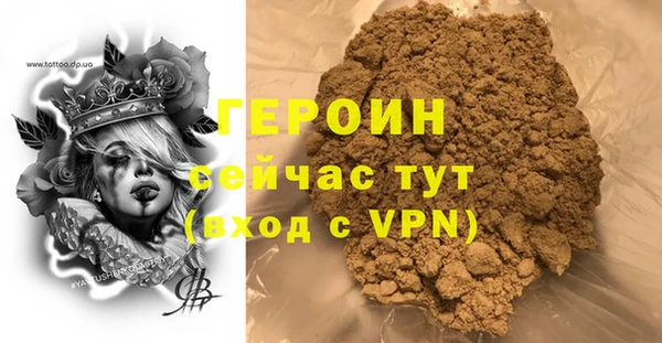 индика Каменка