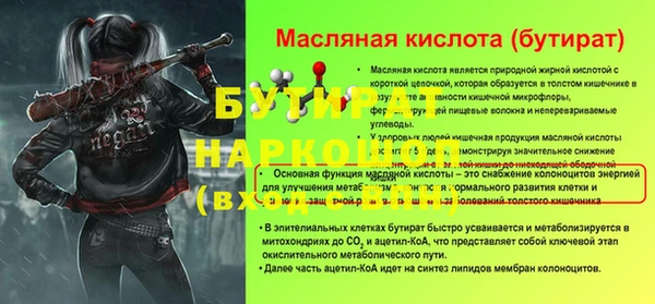 индика Каменка
