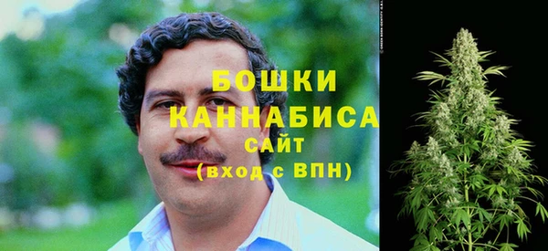 индика Каменка