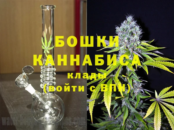 бошки Каменногорск