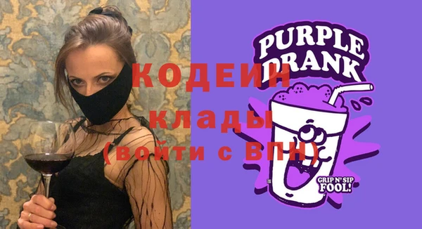 индика Каменка
