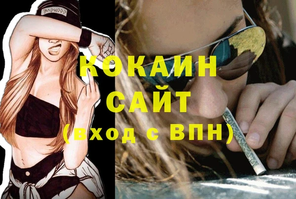 бошки Каменногорск